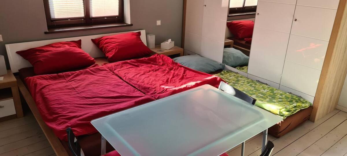 Private Room In Our Home With Free Vvo Ticket & Cats Pirna Ngoại thất bức ảnh