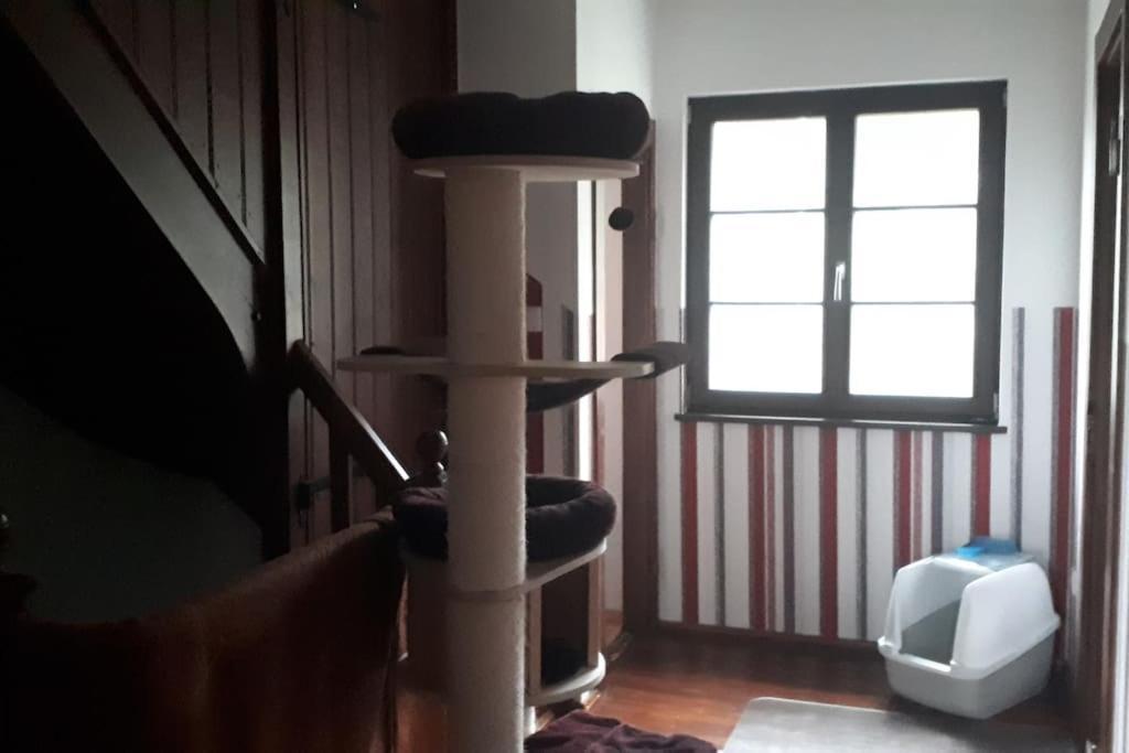 Private Room In Our Home With Free Vvo Ticket & Cats Pirna Ngoại thất bức ảnh