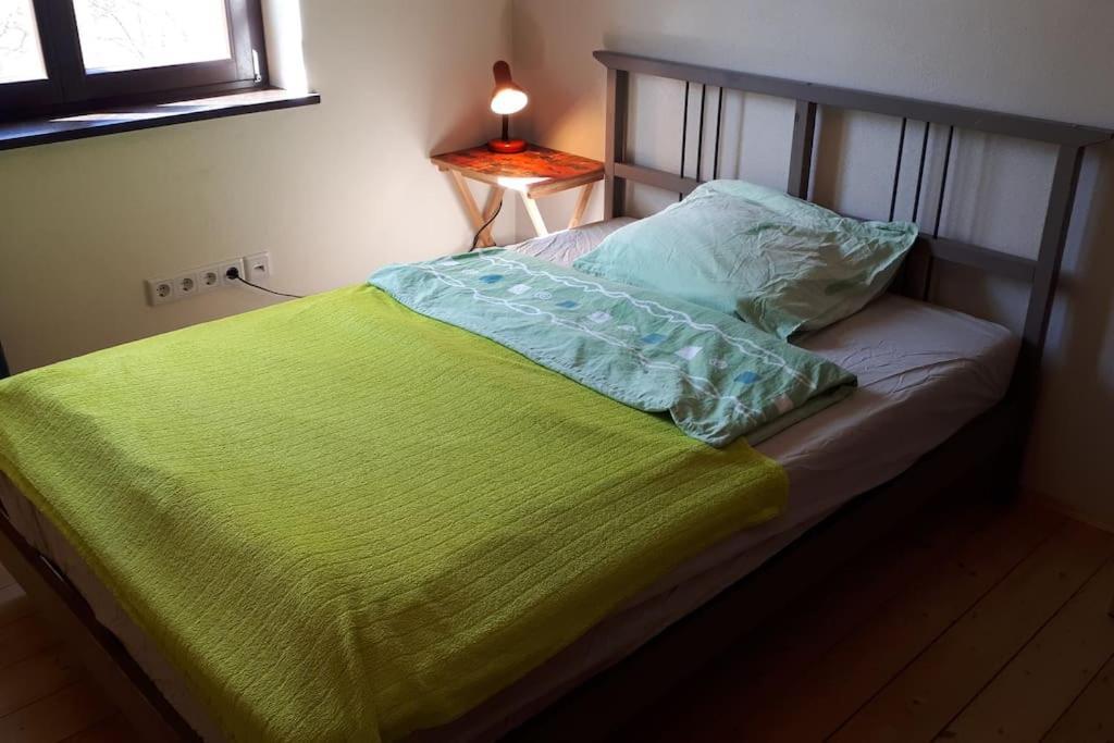Private Room In Our Home With Free Vvo Ticket & Cats Pirna Ngoại thất bức ảnh