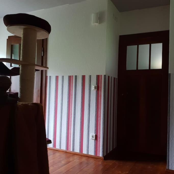 Private Room In Our Home With Free Vvo Ticket & Cats Pirna Ngoại thất bức ảnh