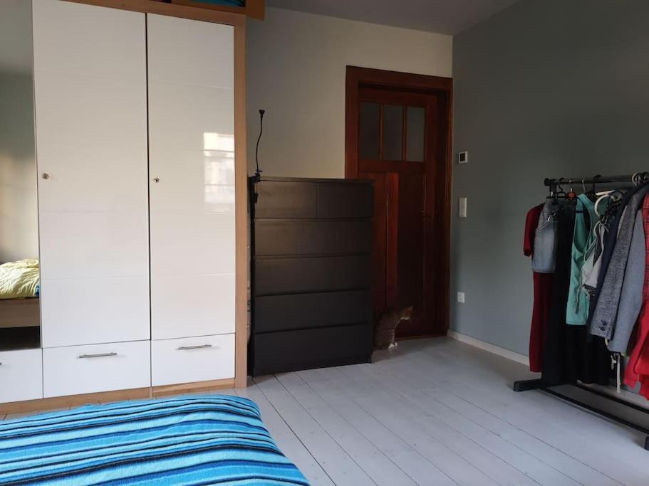 Private Room In Our Home With Free Vvo Ticket & Cats Pirna Ngoại thất bức ảnh
