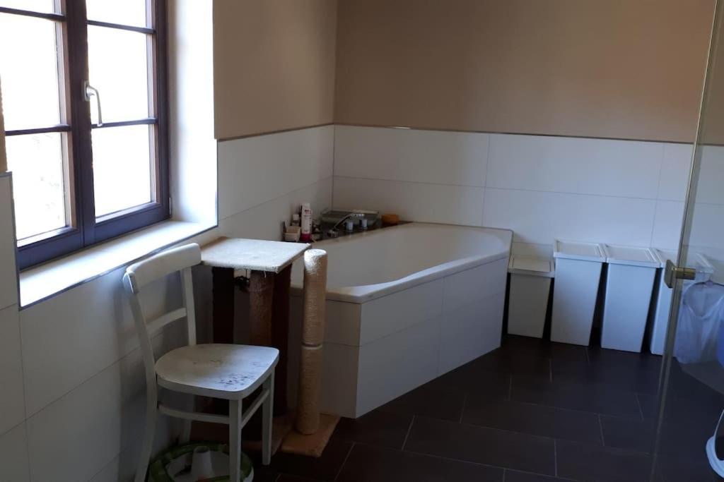 Private Room In Our Home With Free Vvo Ticket & Cats Pirna Ngoại thất bức ảnh