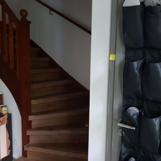 Private Room In Our Home With Free Vvo Ticket & Cats Pirna Ngoại thất bức ảnh