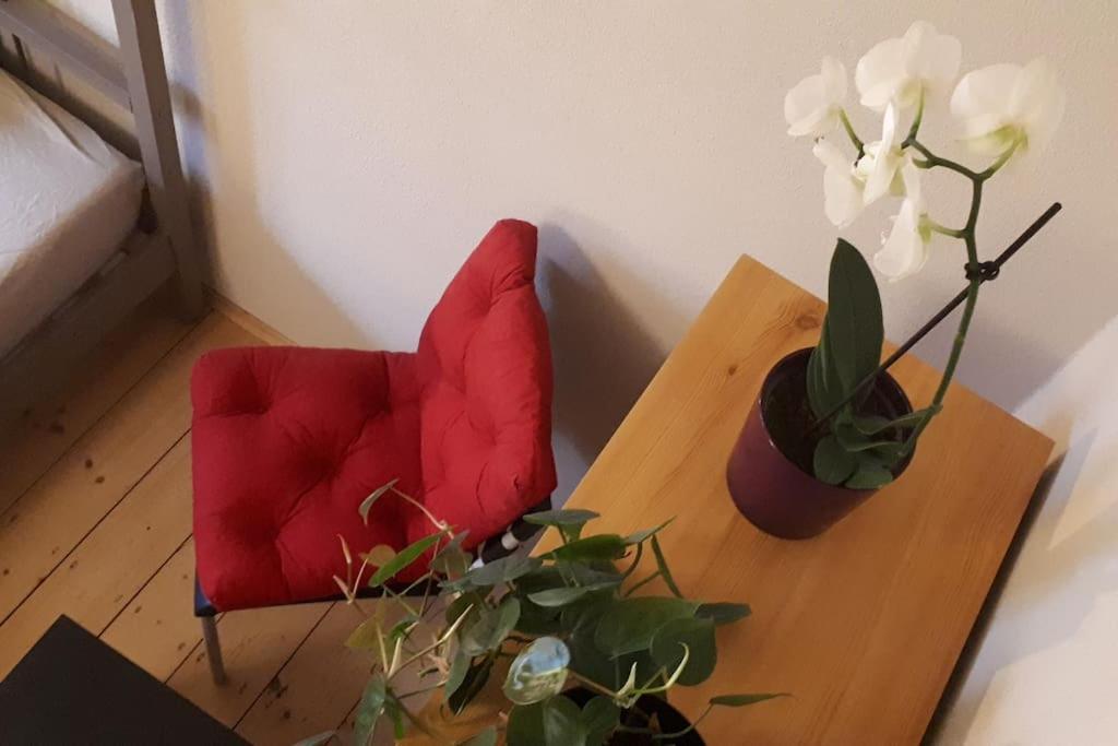 Private Room In Our Home With Free Vvo Ticket & Cats Pirna Ngoại thất bức ảnh