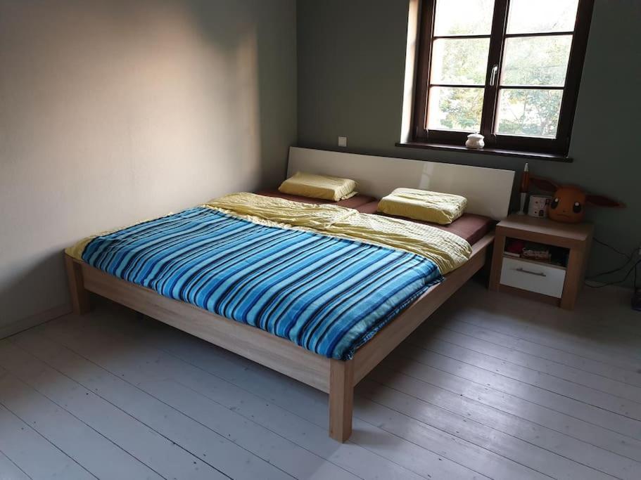 Private Room In Our Home With Free Vvo Ticket & Cats Pirna Ngoại thất bức ảnh