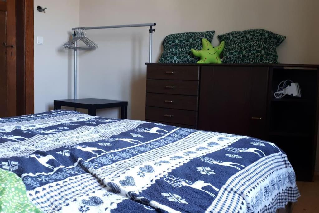 Private Room In Our Home With Free Vvo Ticket & Cats Pirna Ngoại thất bức ảnh